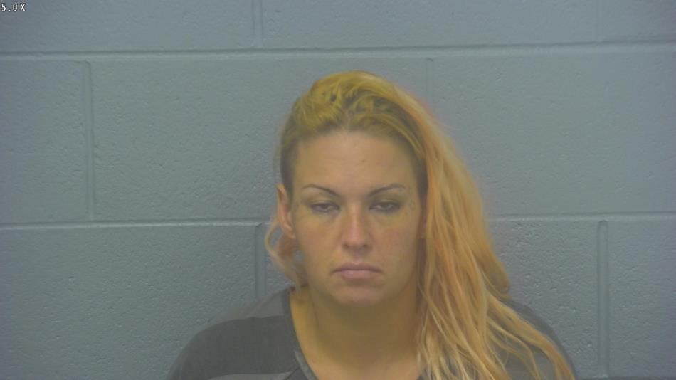 Arrest photo of HEATHER  LANDER